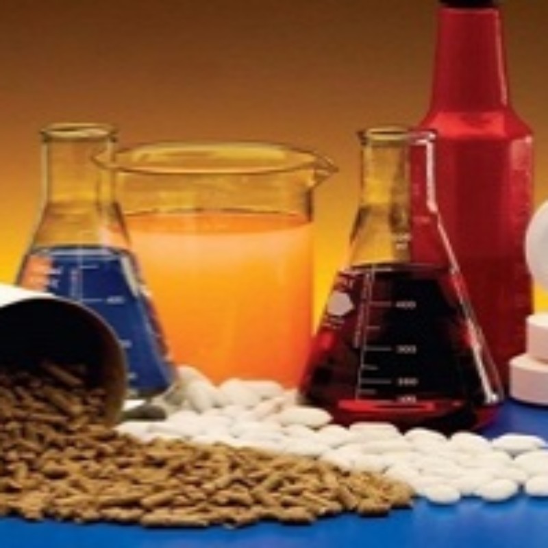 از مولکول تا ذهن