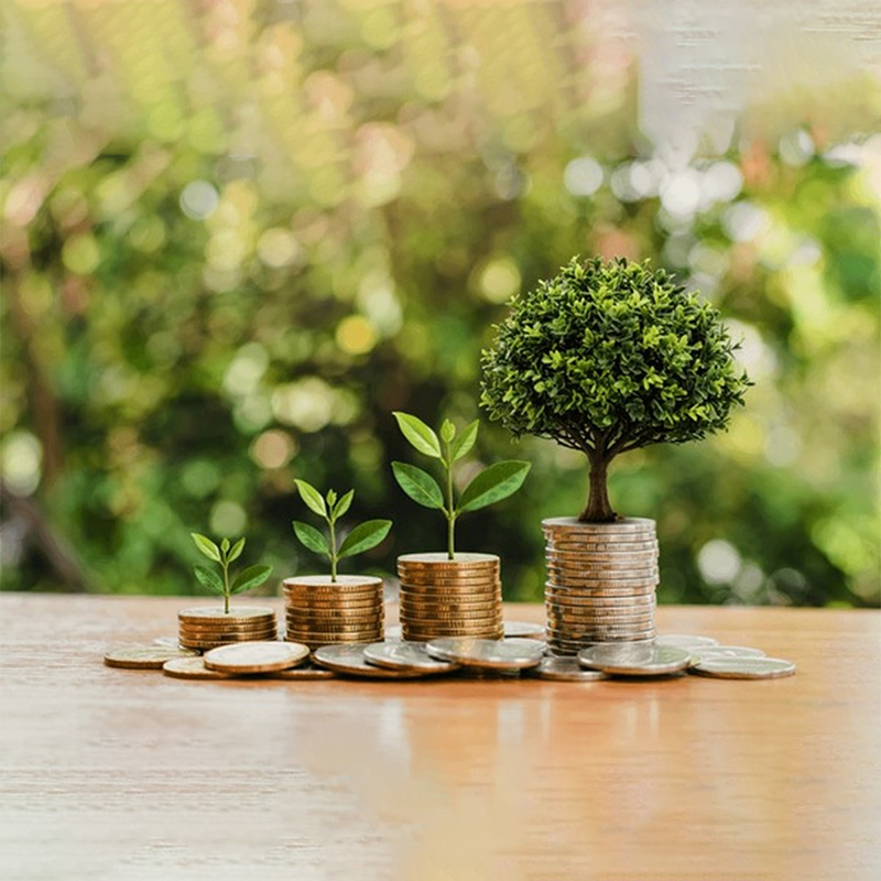 صندوق طلای عیار