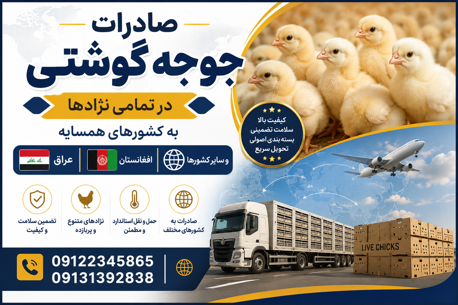 صادرات جوجه یک روزه
