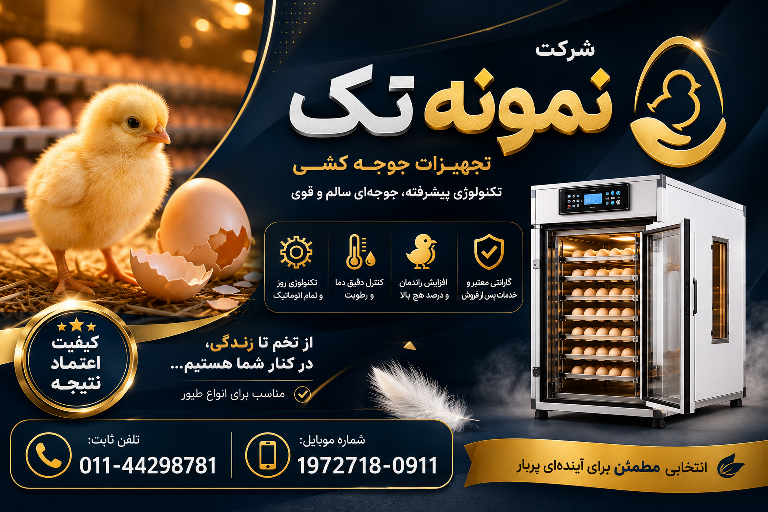 خرید جوجه گوشتی یک روزه